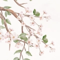 tapeta dla dzieci | blooming blossom