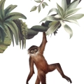 tapeta dla dzieci | cheeky monkeys