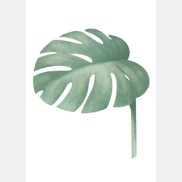 monstera | plakat. plakat dla dzieci. dekoracje pokoju
