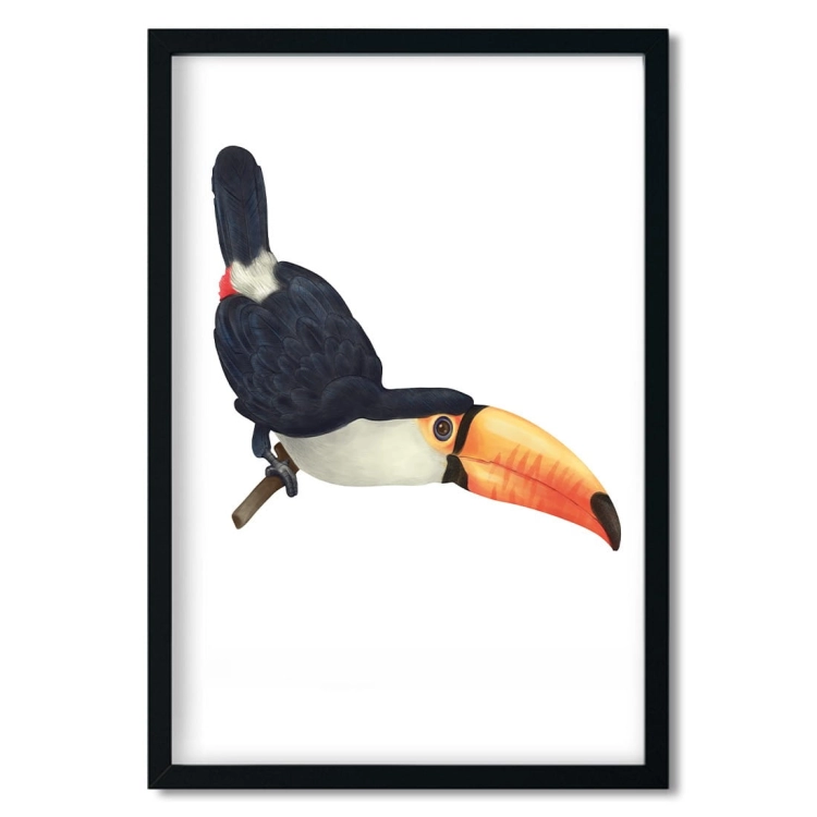 tukan | plakat. plakat dla dzieci. dekoracje pokoju