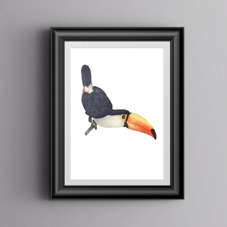 tukan | plakat. plakat dla dzieci. dekoracje pokoju