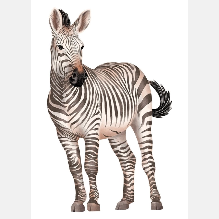 zebra | plakat. plakat dla dzieci. dekoracje pokoju