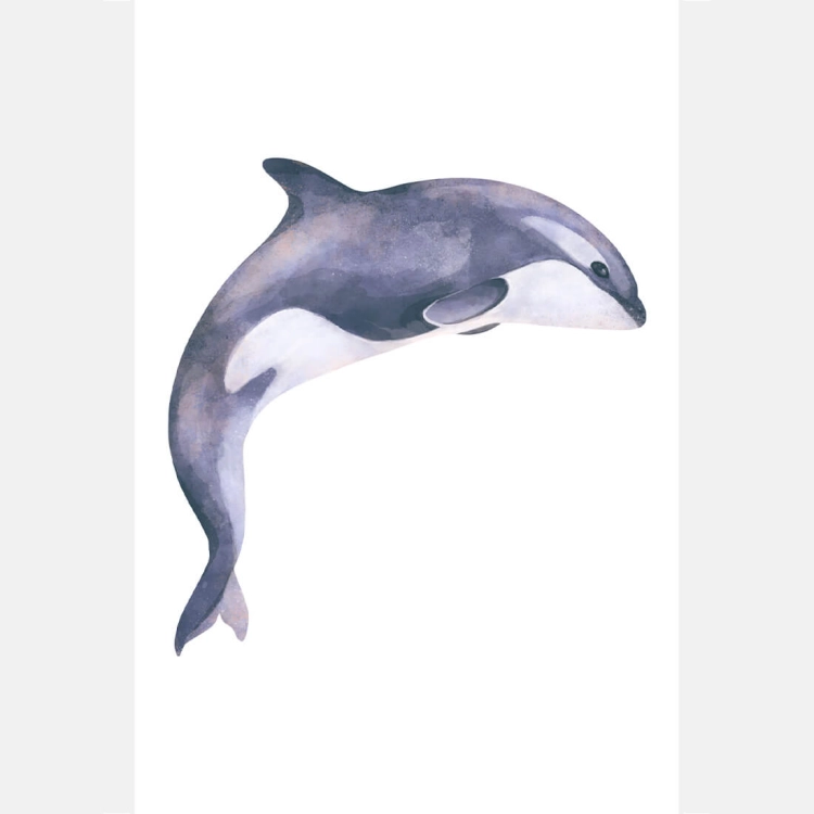 orka | plakat. plakat dla dzieci. dekoracje pokoju